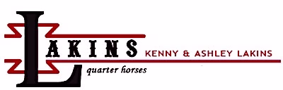 Lakins-Logo-1